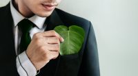 La stratégie RSE des cabinets de conseil