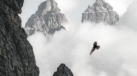 Deux chemins différents dans la rationalité : la méthode occidentale et la voie chinoise