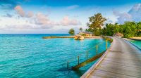 Le bon coin en Outre-mer