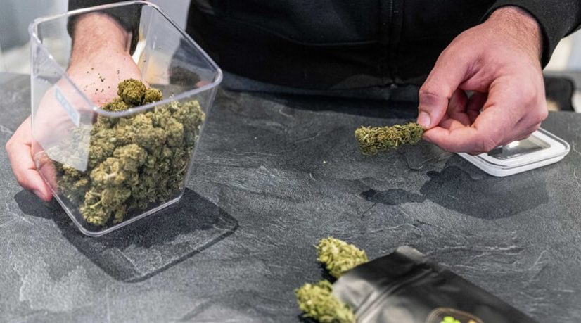 Boom du CBD : les producteurs aiguisent leurs armes