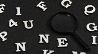 Des chiffres et des lettres, la sélection de février