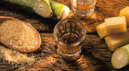 Les matières premières du rhum